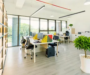 順德興集團 - 全球商業諮詢服務